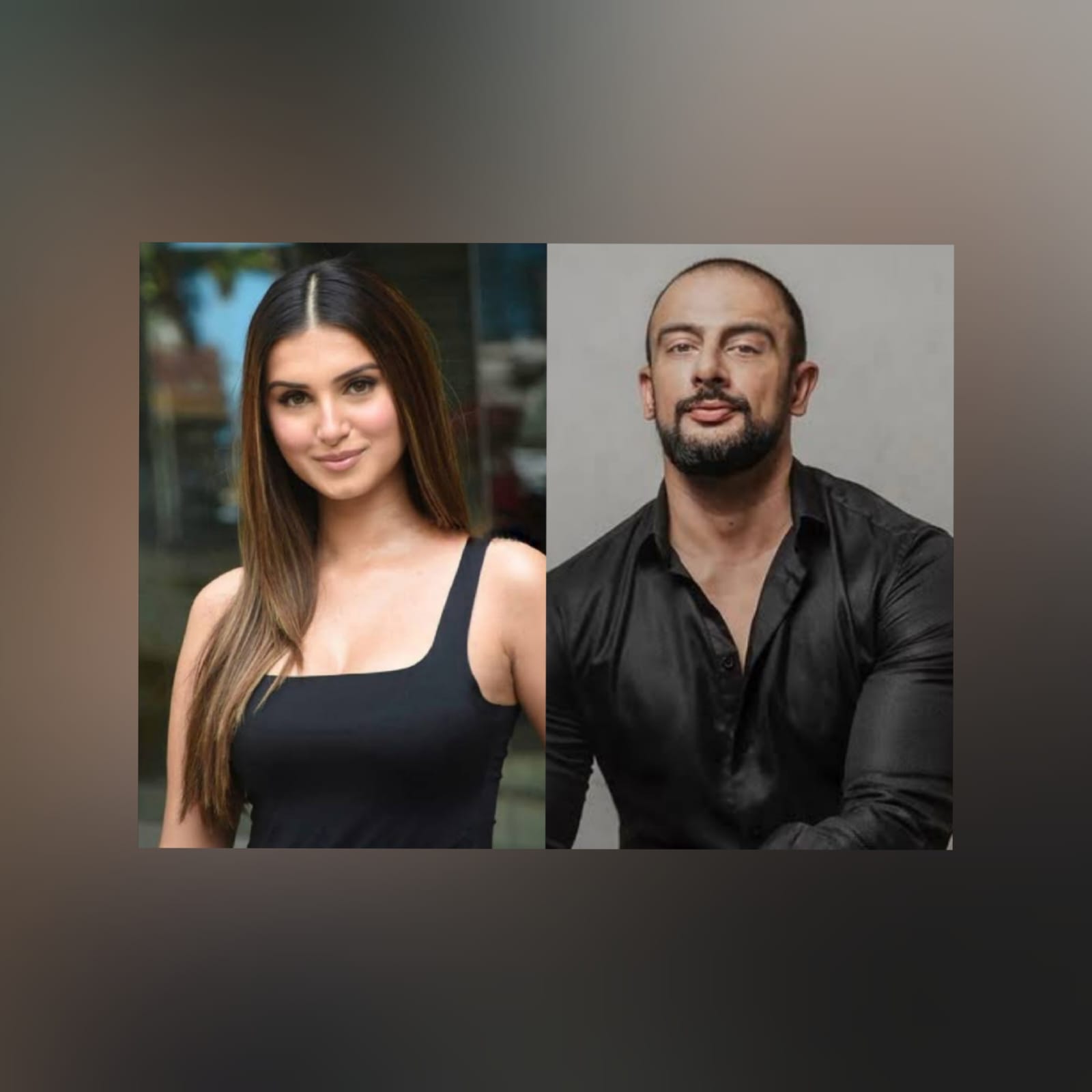 Tara Sutaria Dating Arunoday Singh After Aadar Jain Break-up