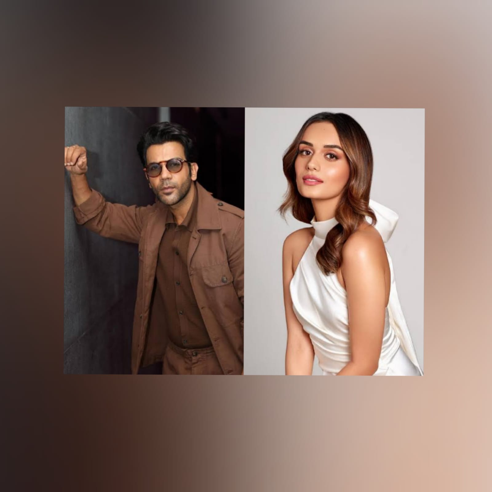 Rajkummar Rao And Manushi Chhillar Movie In Making?