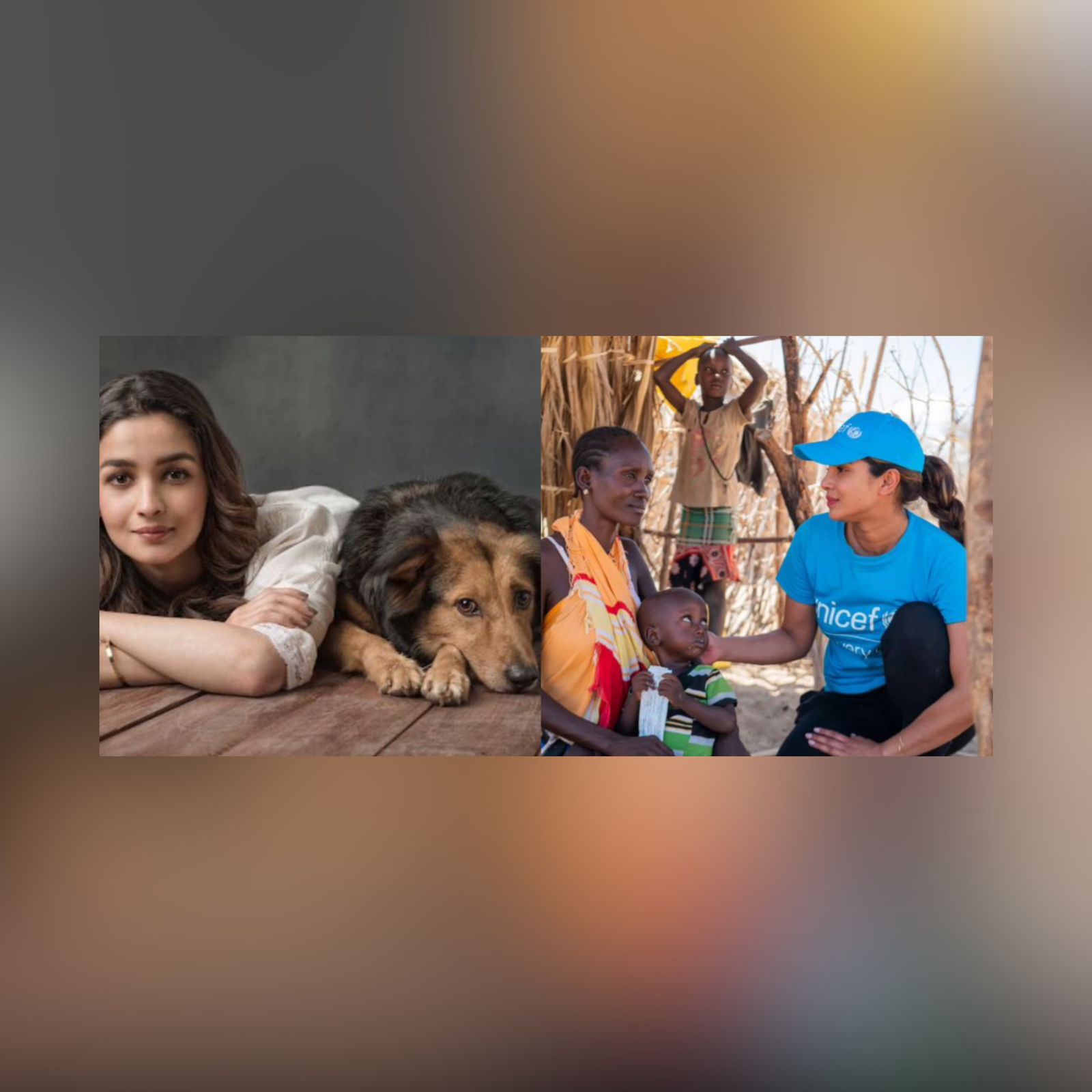 Bollywood Stars With A Social Cause: Alia Bhatt For Animals