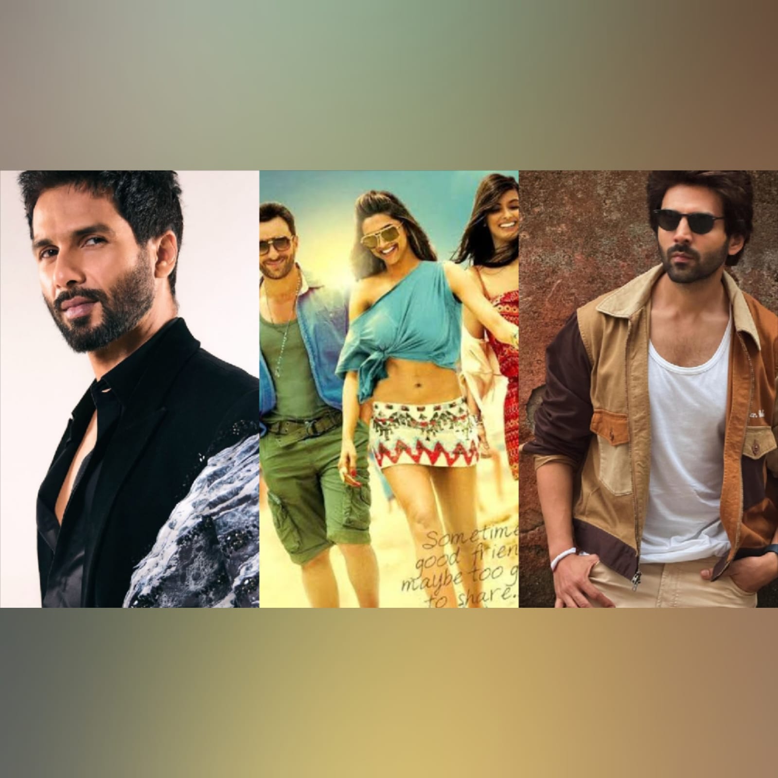 Shahid Kapoor Or Kartik Aaryan To Lead? False News