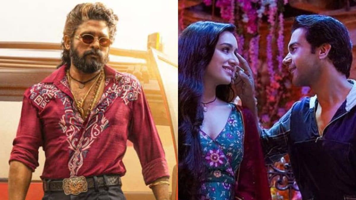 Stree 2, Pushpa 2 Save ‘A Khan-Less Year’ At Box Office? Film Experts Say ‘2024 Was Disappointing’ | Exclusive