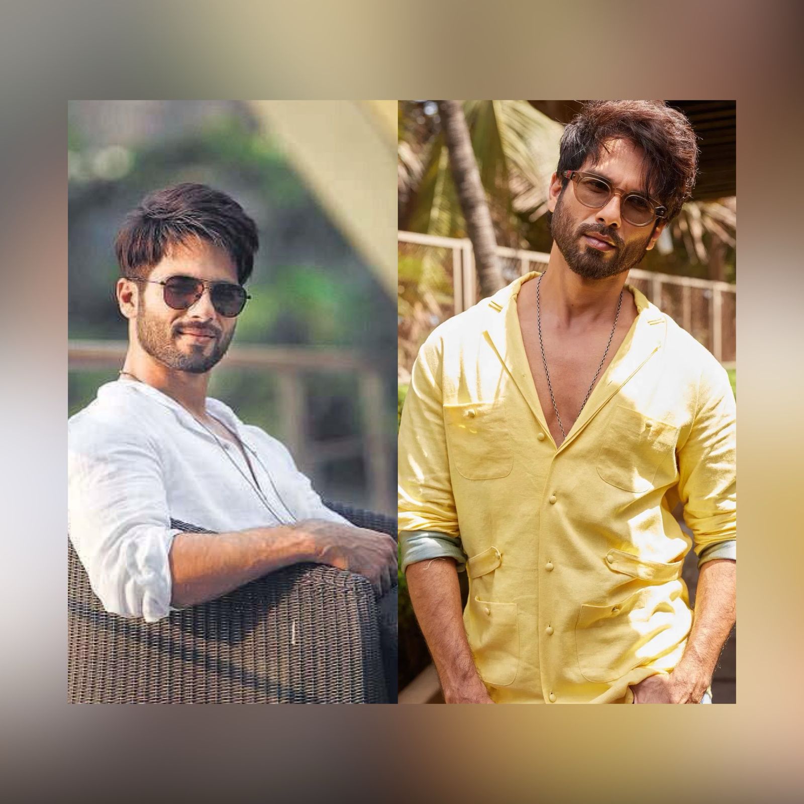 Shahid Kapoor Birthday Special: Networth, Assets & More