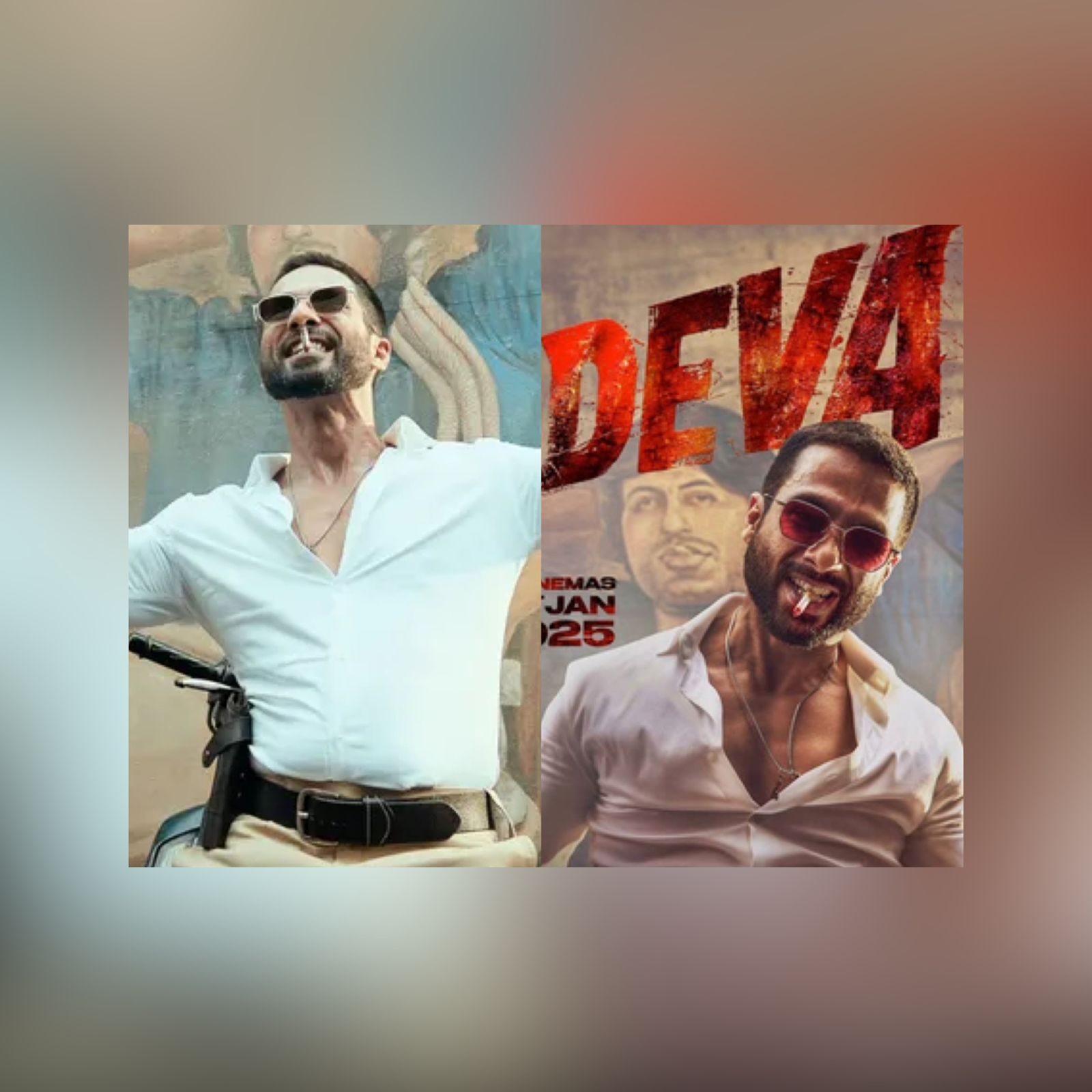 Shahid Kapoor Deva Movie Collected Rs 5 Crore On Day 1